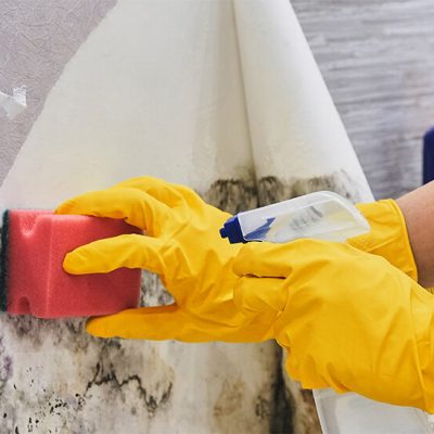 yavdat / Getty Images