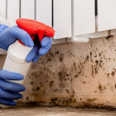 mold-remediation-important-dos-and-donts-you-need-to-know
